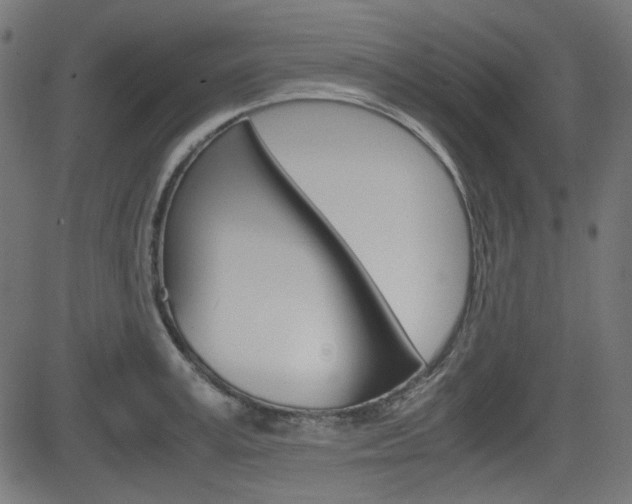 X0000082990995200702011139
