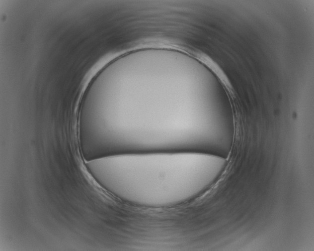 X0000082991004200702011139
