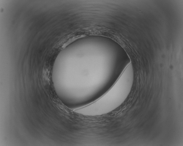 X0000082991010200702011138