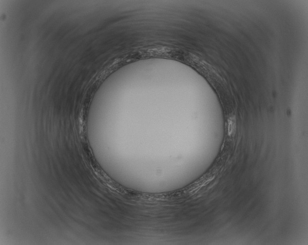 X0000082991011200702011138