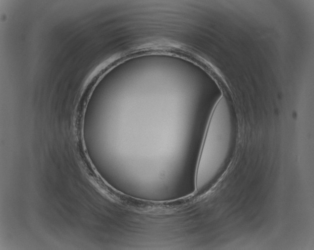X0000082991026200702011139