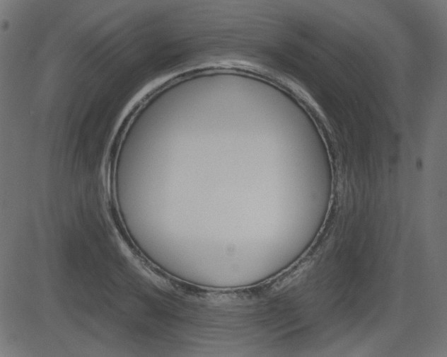 X0000082991032200702011139