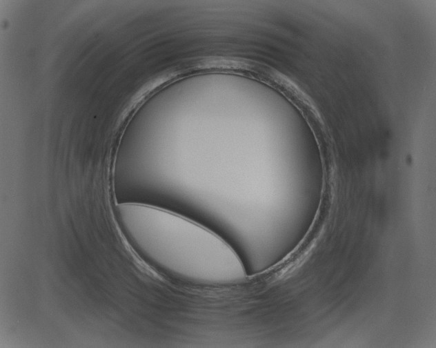 X0000082991033200702011139