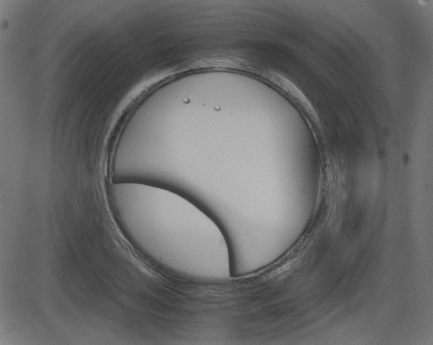 X0000082991035200702011139