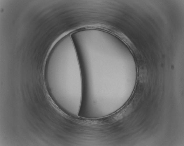 X0000082991036200702011139