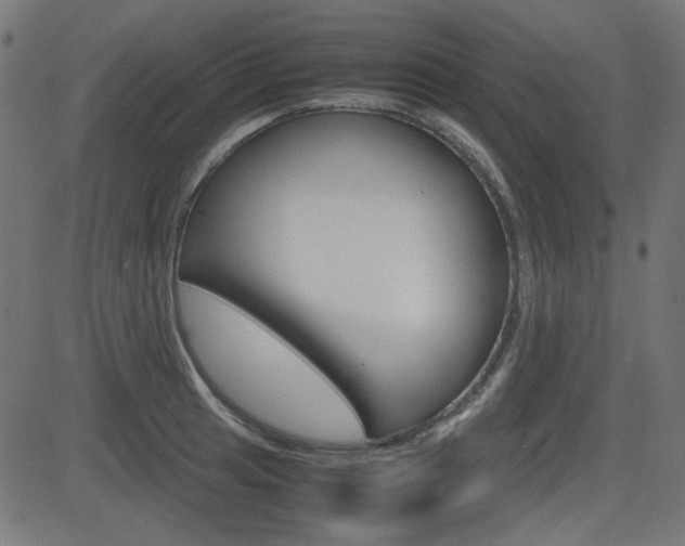 X0000082991041200702011139