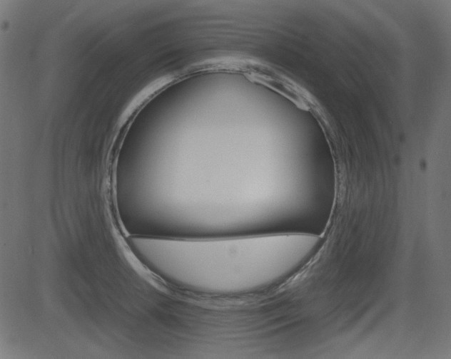 X0000082991042200702011139