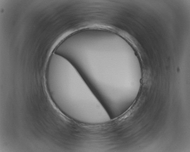 X0000082991048200702011139