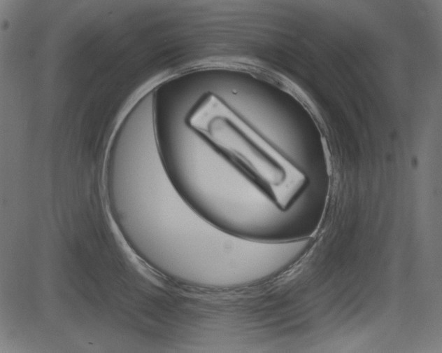 X0000082991050200702011139