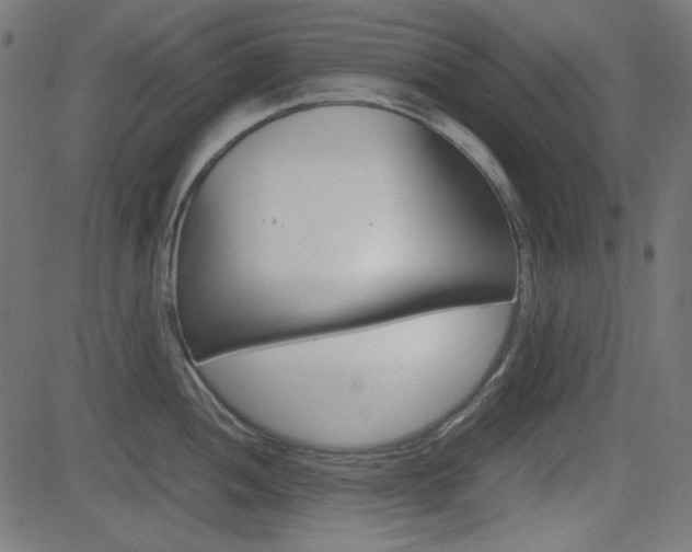 X0000082991052200702011139