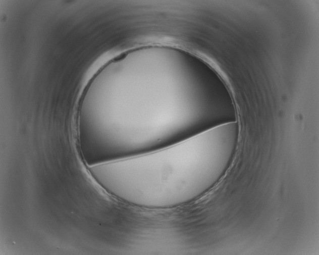 X0000082991056200702011139