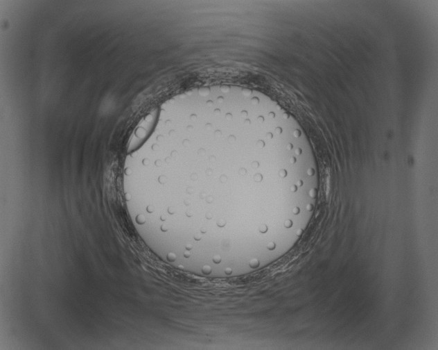 X0000082991059200702011138