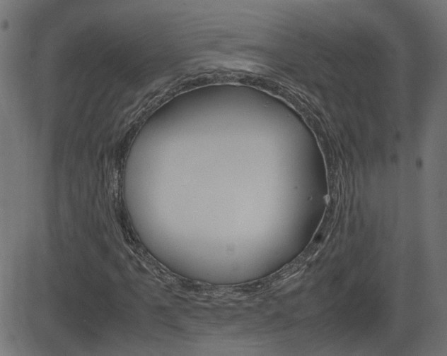 X0000082991061200702011138