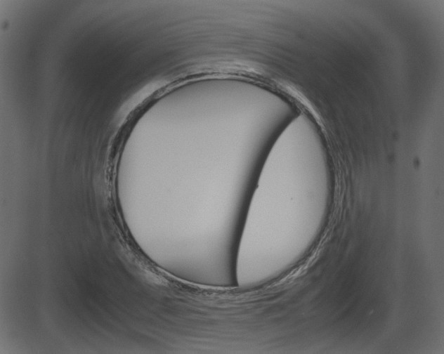 X0000082991071200702011138