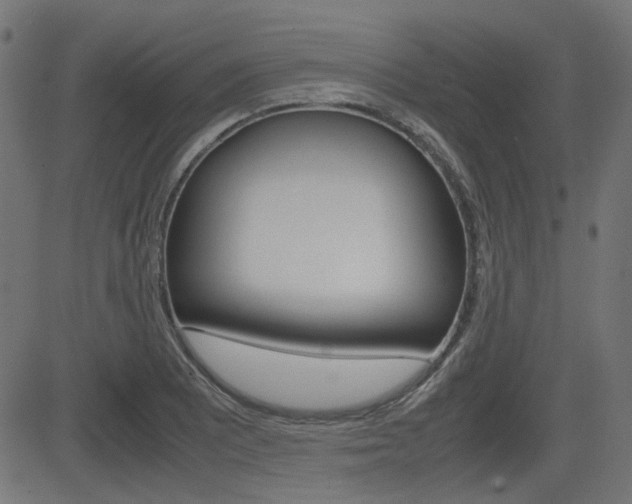 X0000082991081200702011138