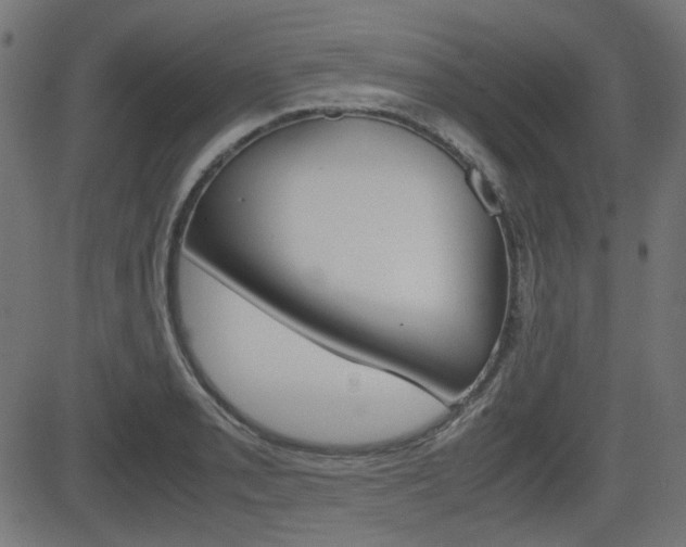 X0000082991085200702011138