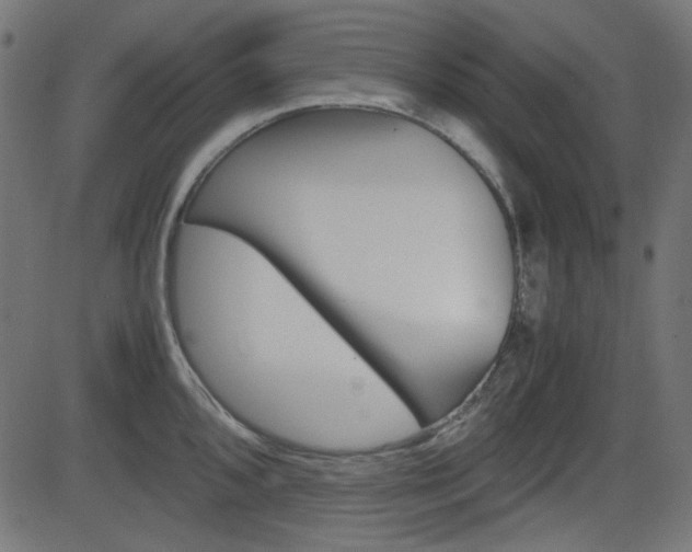 X0000082991096200702011138