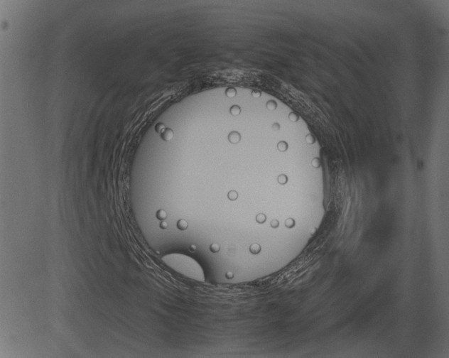 X0000082991105200702011137