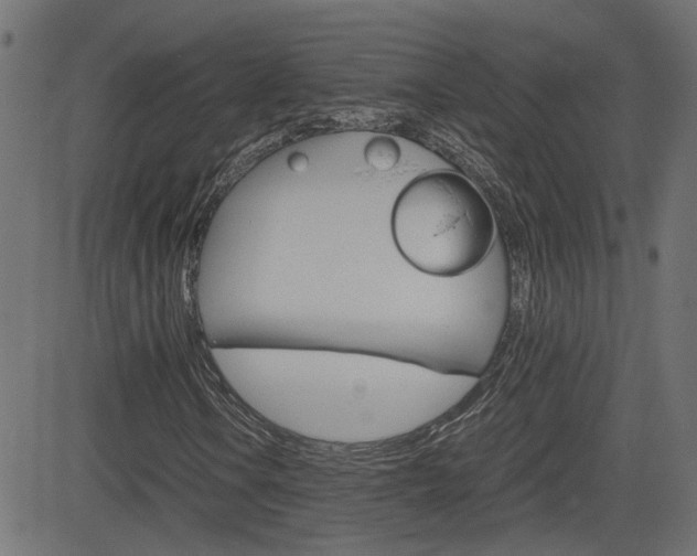 X0000082991106200702011137