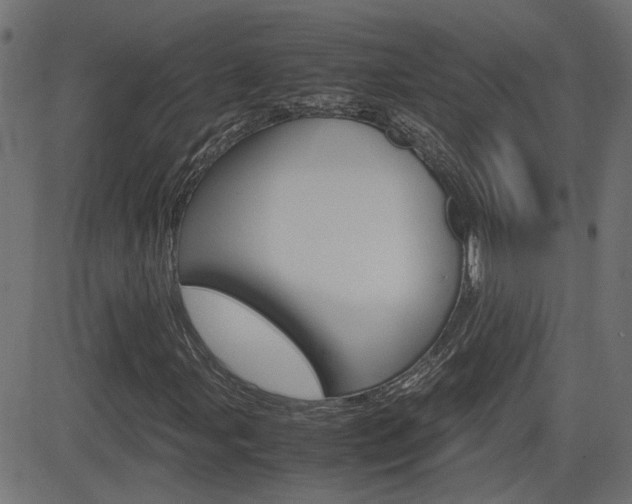 X0000082991107200702011137
