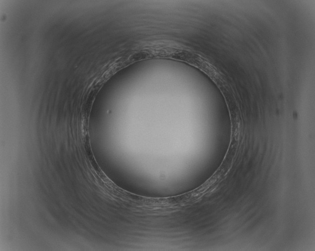 X0000082991108200702011137