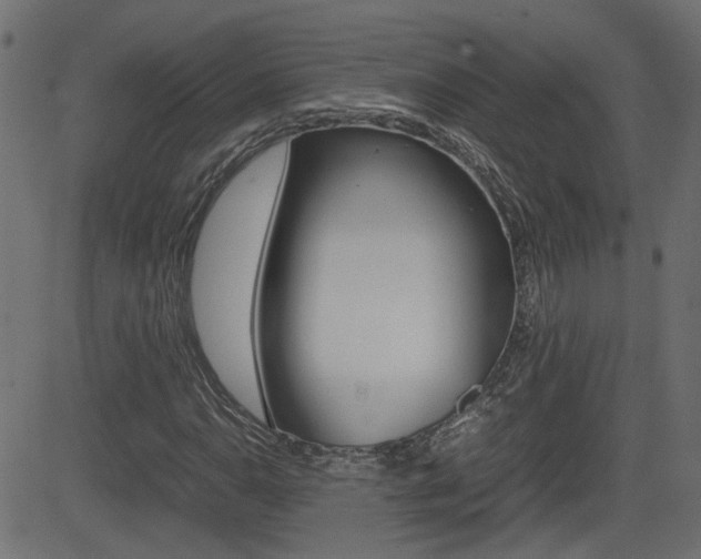 X0000082991110200702011137