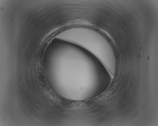 X0000082991112200702011137