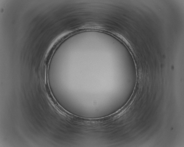 X0000082991123200702011137