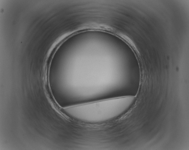 X0000082991128200702011137