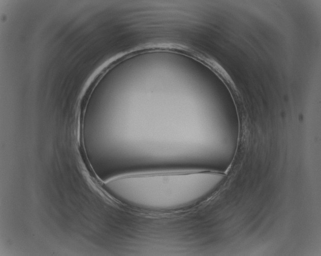 X0000082991132200702011137