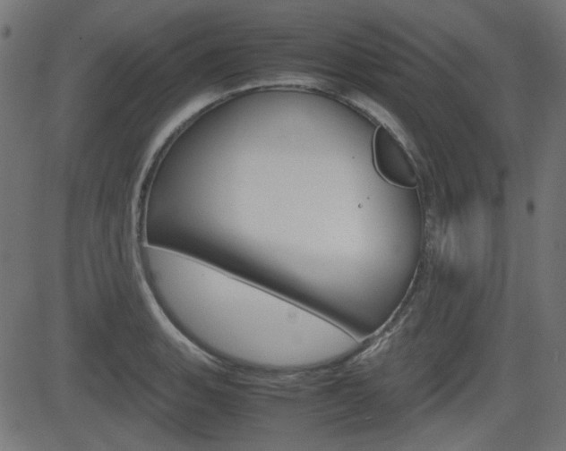 X0000082991135200702011137