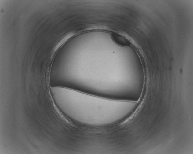 X0000082991137200702011137