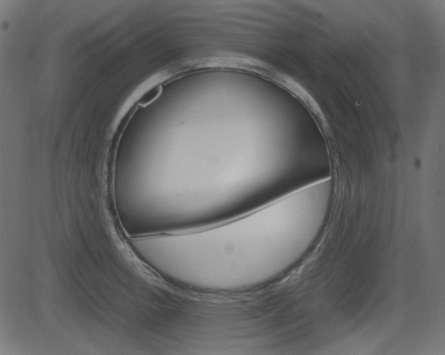 X0000082991138200702011137