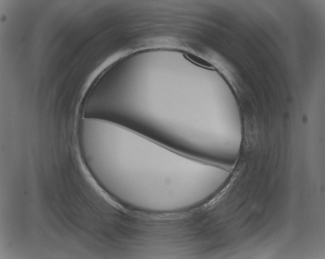 X0000082991142200702011137