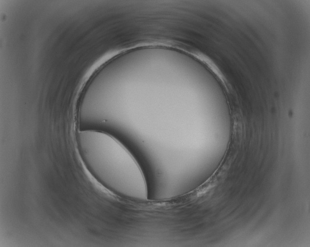 X0000082991143200702011137
