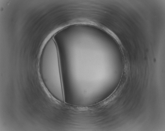 X0000082991144200702011137