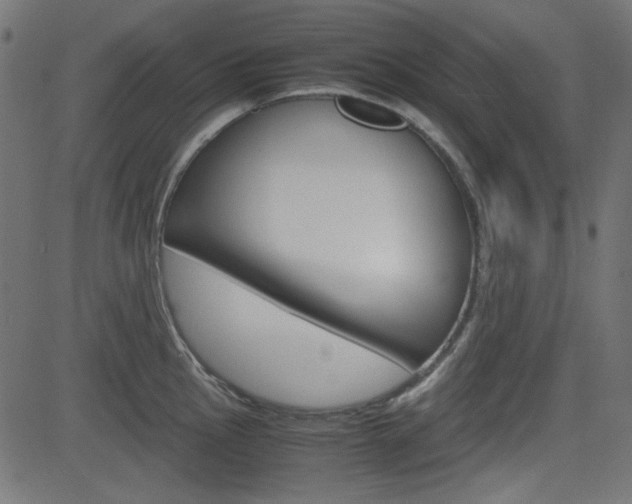 X0000082991145200702011137