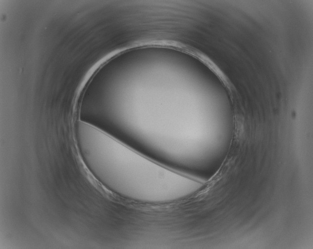 X0000082991148200702011137