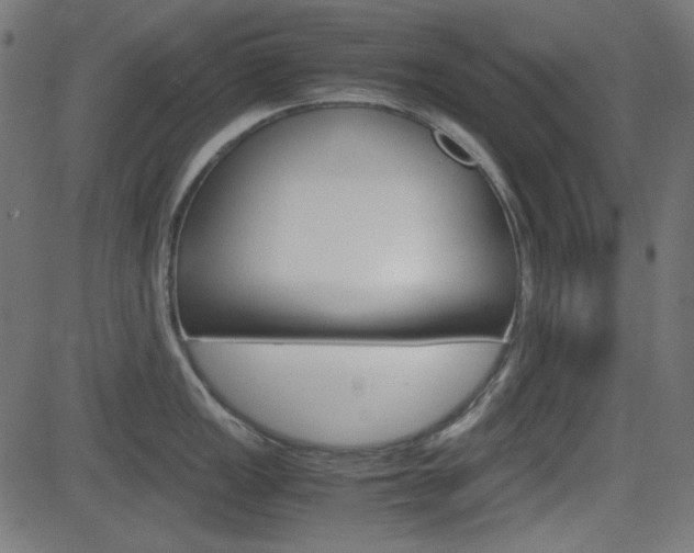 X0000082991149200702011138