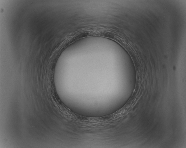 X0000082991153200702011137