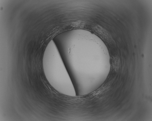 X0000082991154200702011137