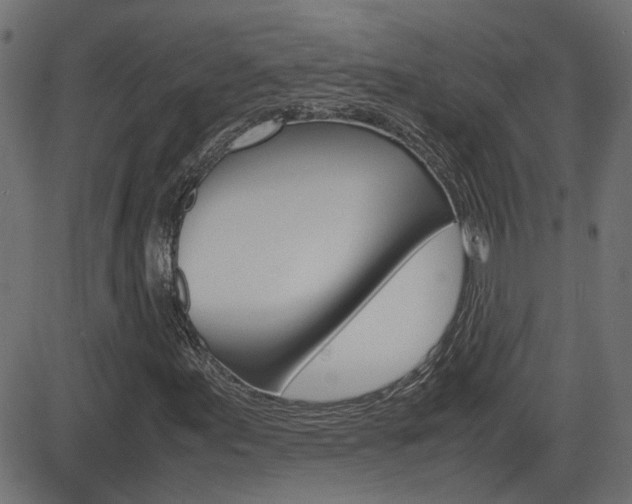 X0000082991155200702011137