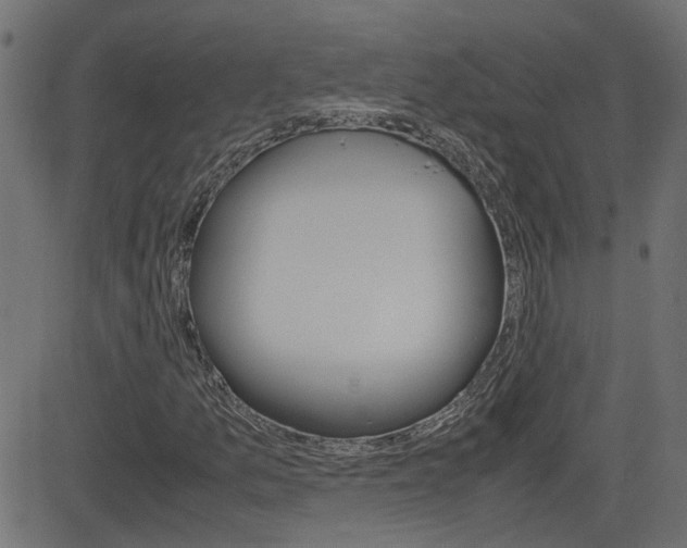 X0000082991157200702011137