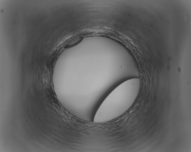 X0000082991158200702011137