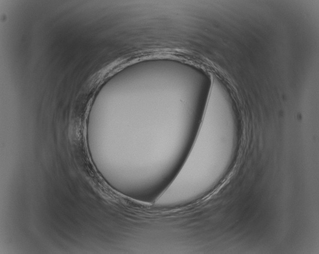 X0000082991161200702011137