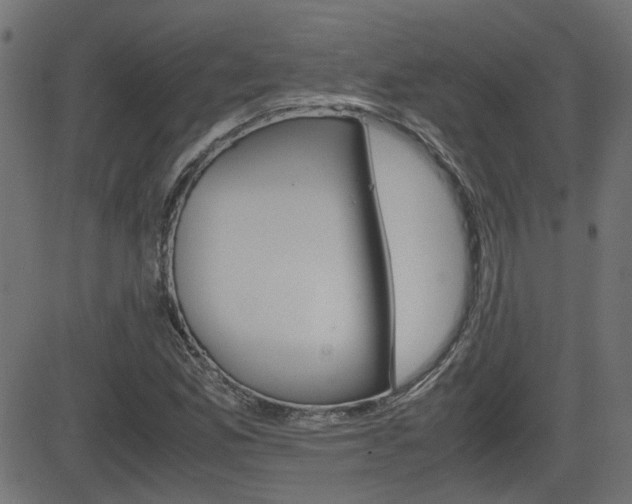 X0000082991165200702011137