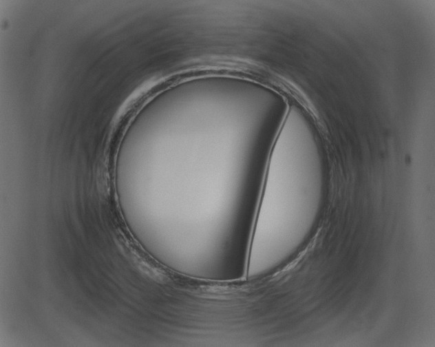 X0000082991172200702011136