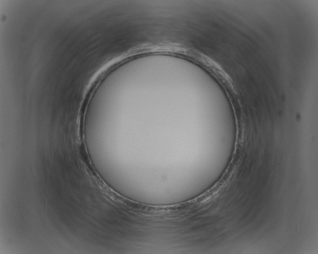 X0000082991174200702011136