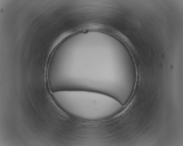 X0000082991178200702011136