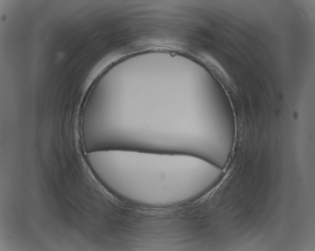 X0000082991182200702011136